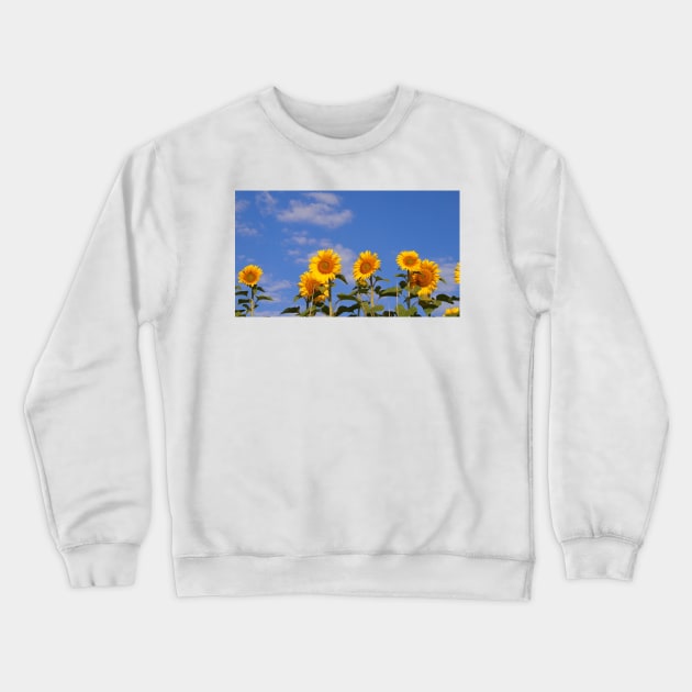 Sunflower days Crewneck Sweatshirt by Sopicon98